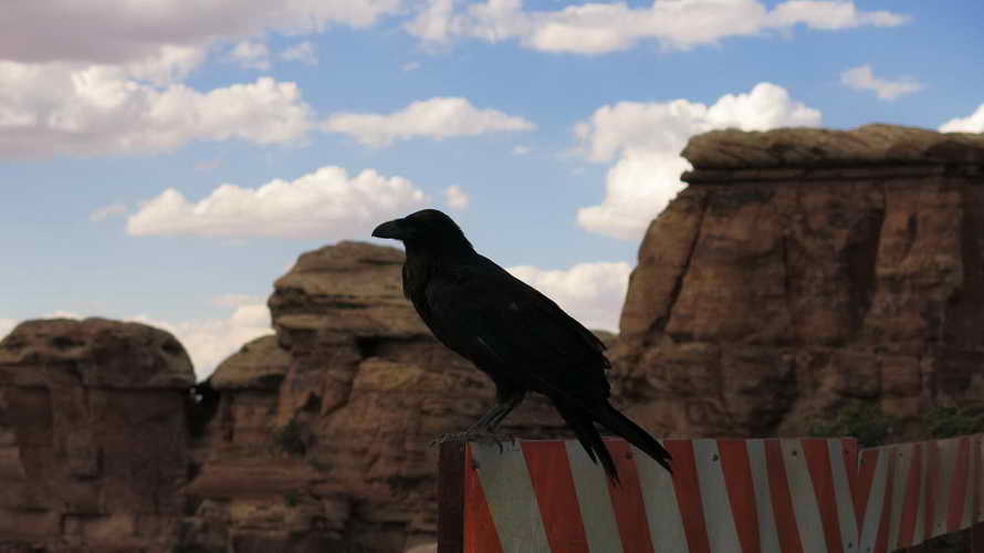 USA_2013-07-14 17-03-49_IMG_2267